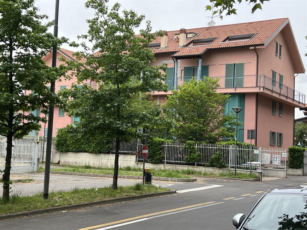 appartamento due locali arredato libero 1 ottobre